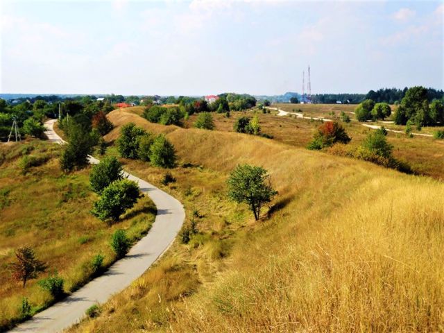 Землі Великого Ходосівського городища повернули із приватної власності