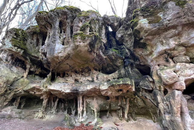 Грот Прийма, Львівське Опілля