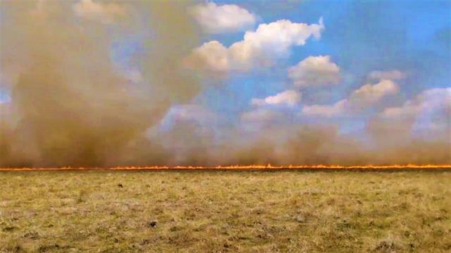 Через дії окупантів згоріло близько 350 гектаров заповідного степу "Асканії-Нови"