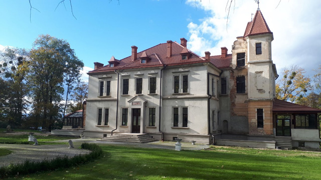 Три родини на Львівщині відроджують старовинний палац Яблоновських-Бруницьких
